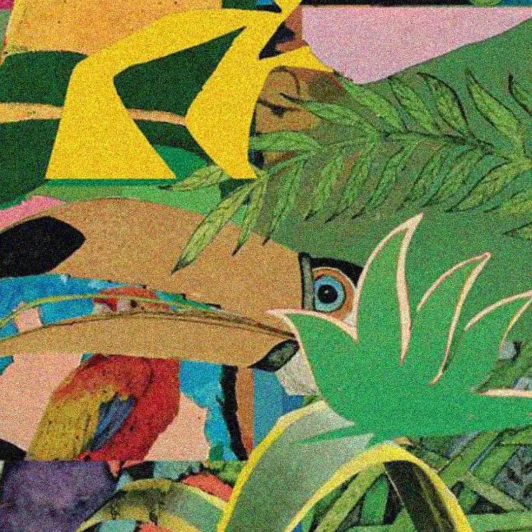 Jasmim Yucatan
