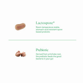 Saúde Intestinal - Pré-biótico + Probiótico