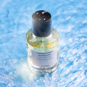 Salina by David Maruitte