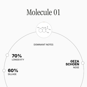 Molecule 01