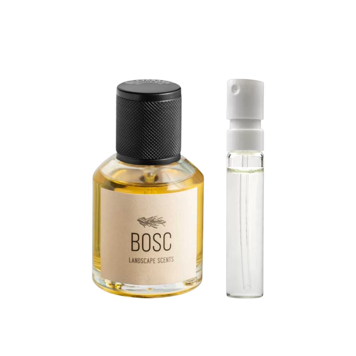 Bravanariz - Bosc