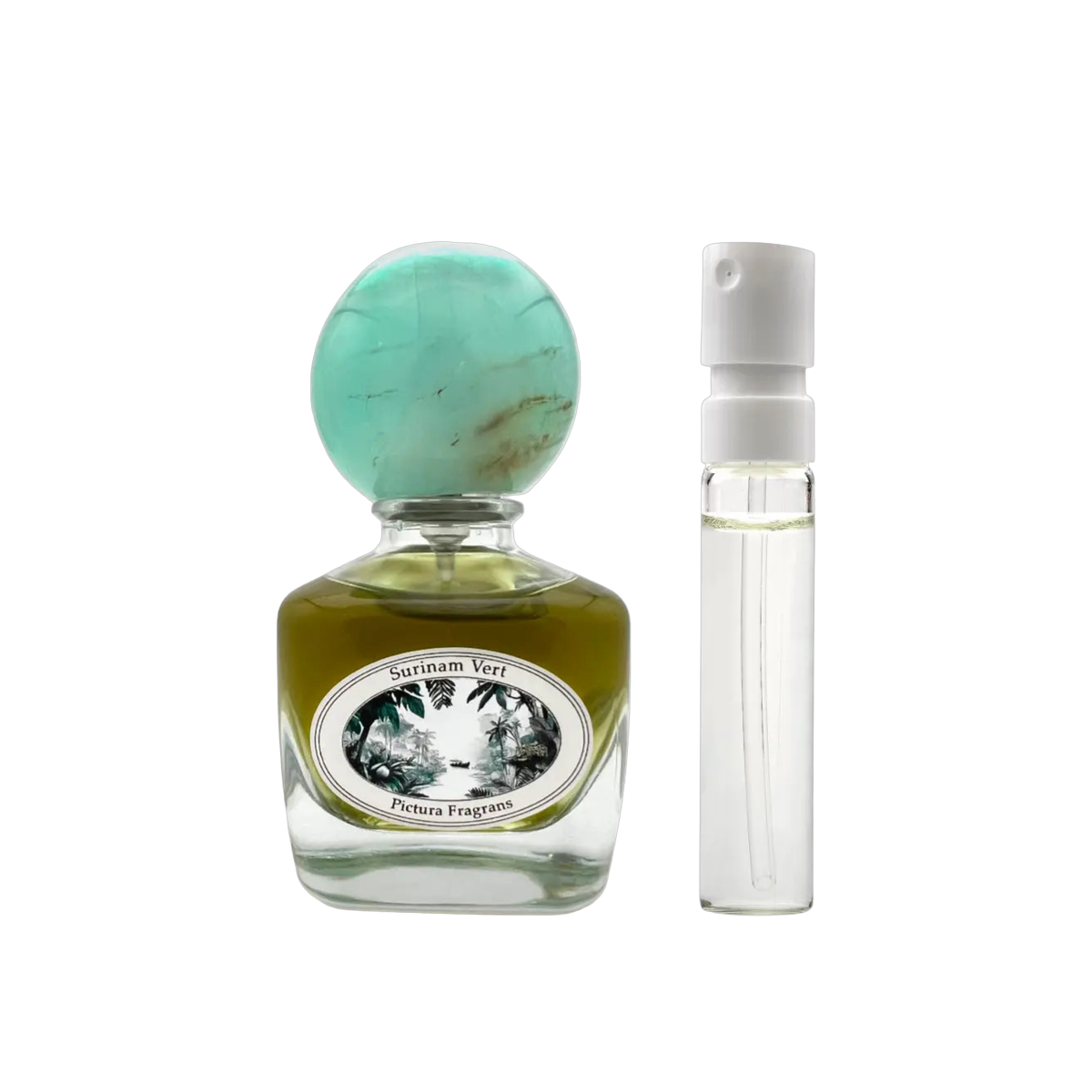 Pictura Fragrans - Surinam Vert
