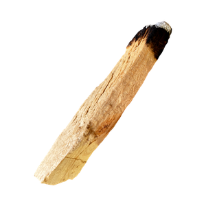 Marca Perfums amb palo santo perfumes nicho