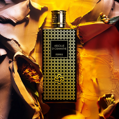 Absolue D&
