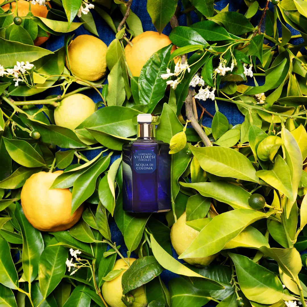 Acqua Di Colonia
