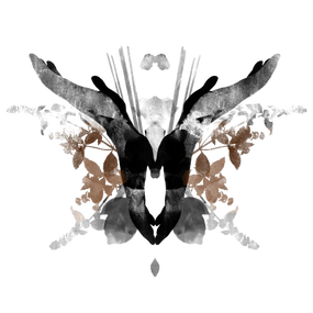 Compulsive Musk