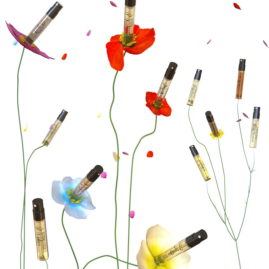 Discovery Kit - Astrophil &amp; Stella