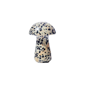 The Gua-Shroom