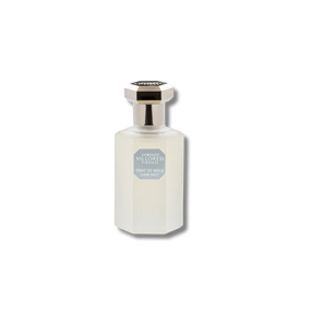 Teint De Neige - Hair Mist