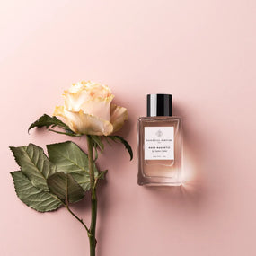 Rose Magnetic by Sophie Labbé