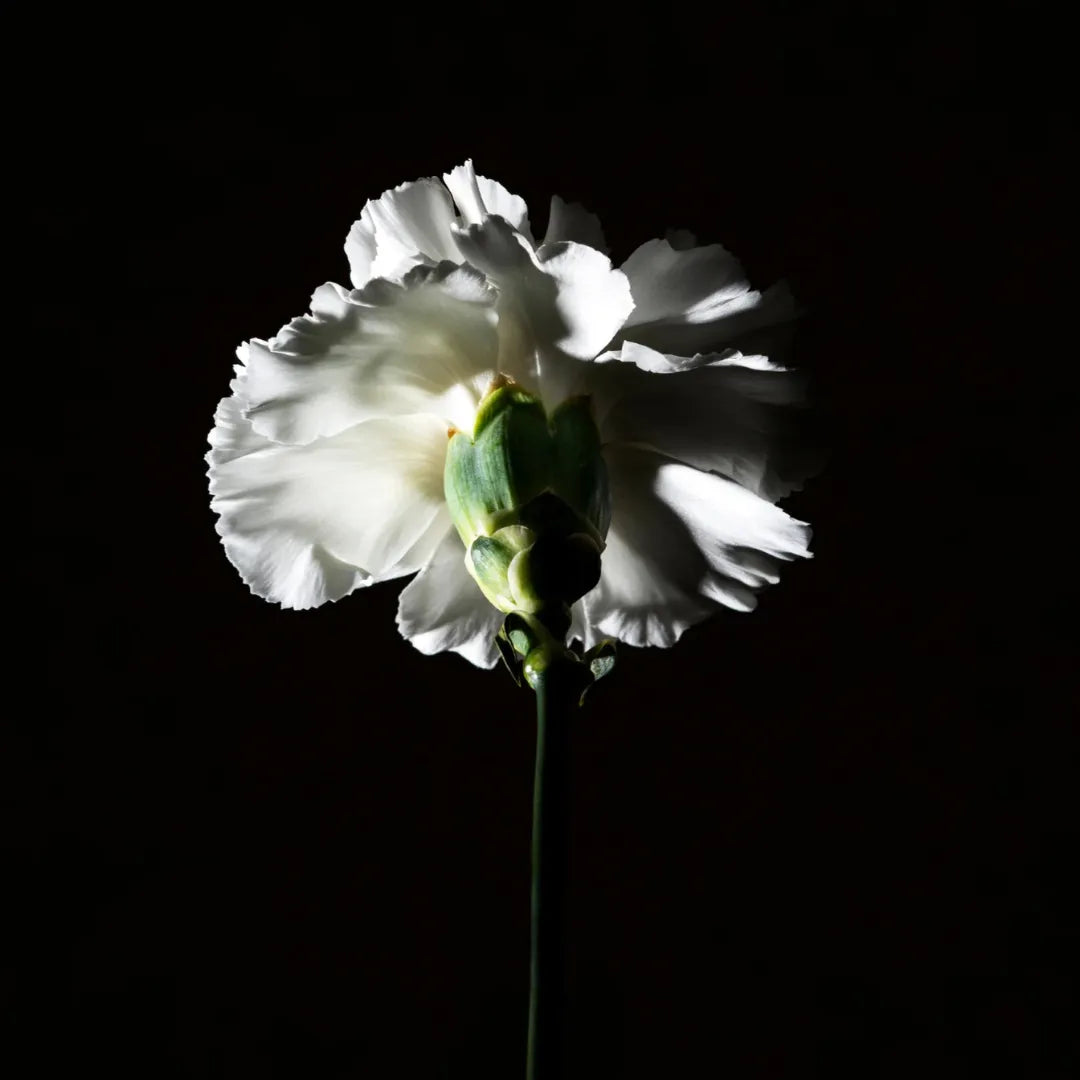 Hair Perfume - Pas Ce Soir