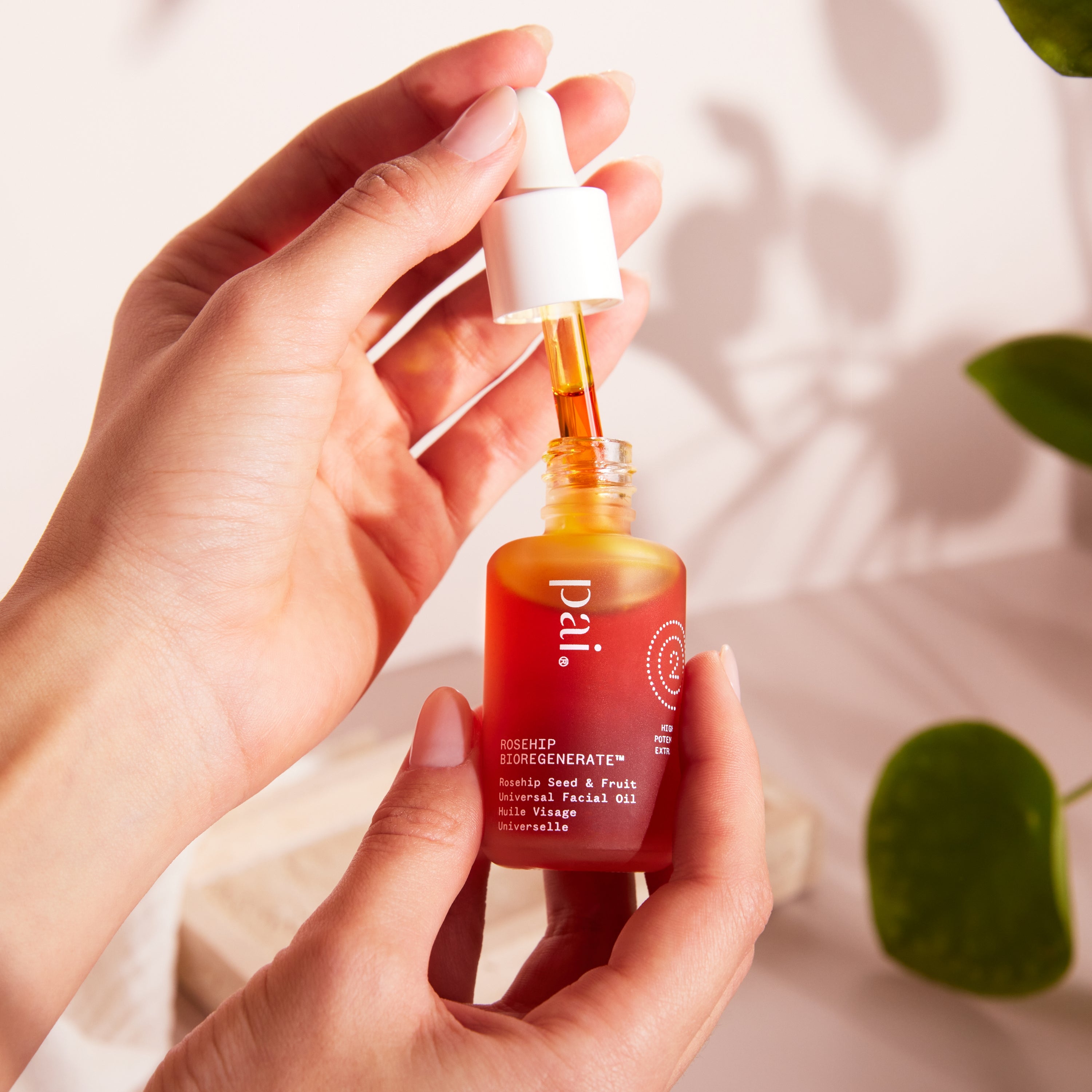 Óleo facial de rosehip Bioregenerate