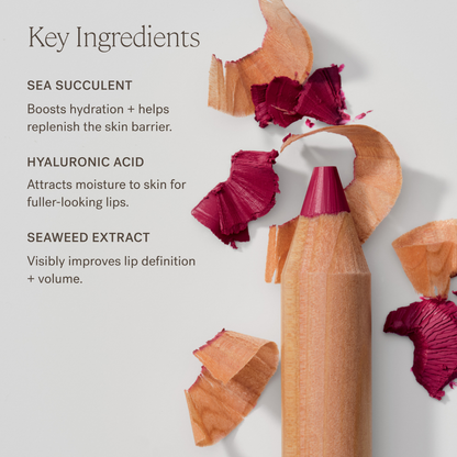 Mini Lip Sketch Duo Set - Limited Edition 2025