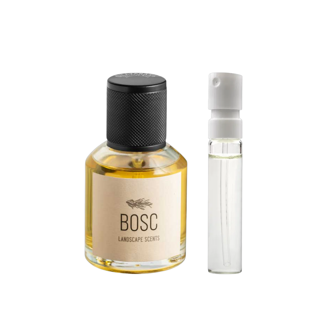 Bravanariz - Bosc
