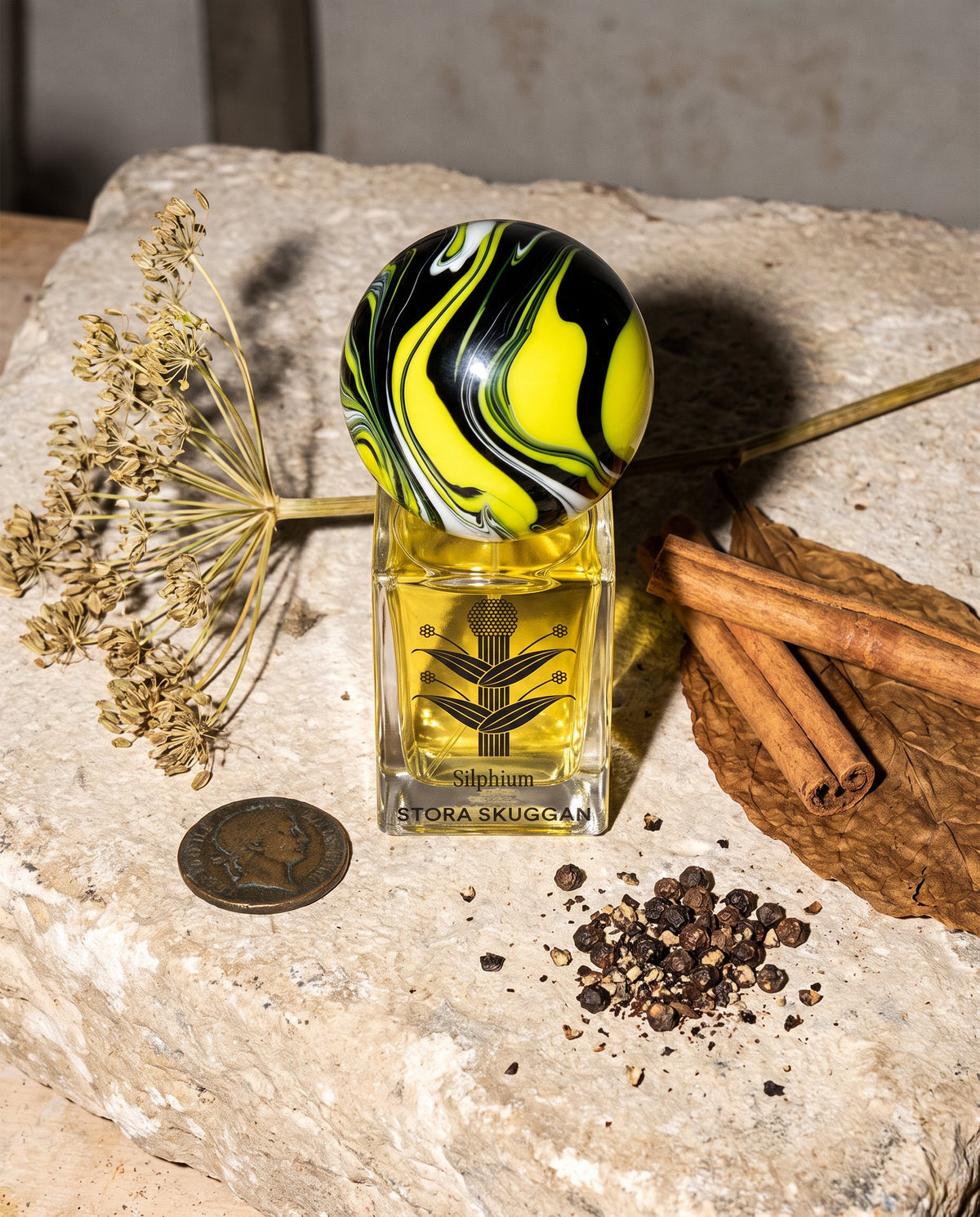Silphium de Stora Skuggan sobre una losa de piedra con una moneda antigua y canela