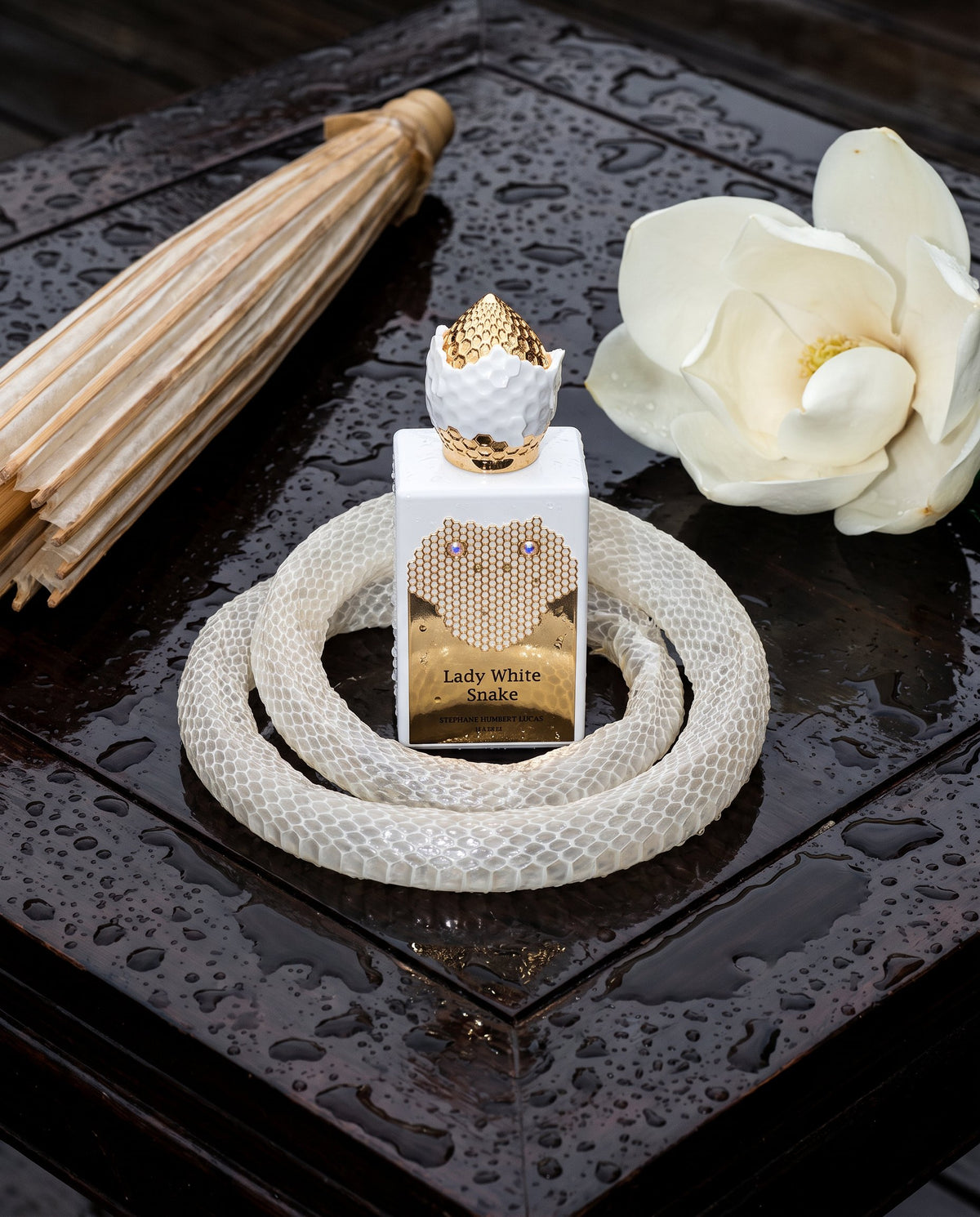 Lady White Snake de Stéphane Humbert Lucas dentro de una muda de serpiente blanca