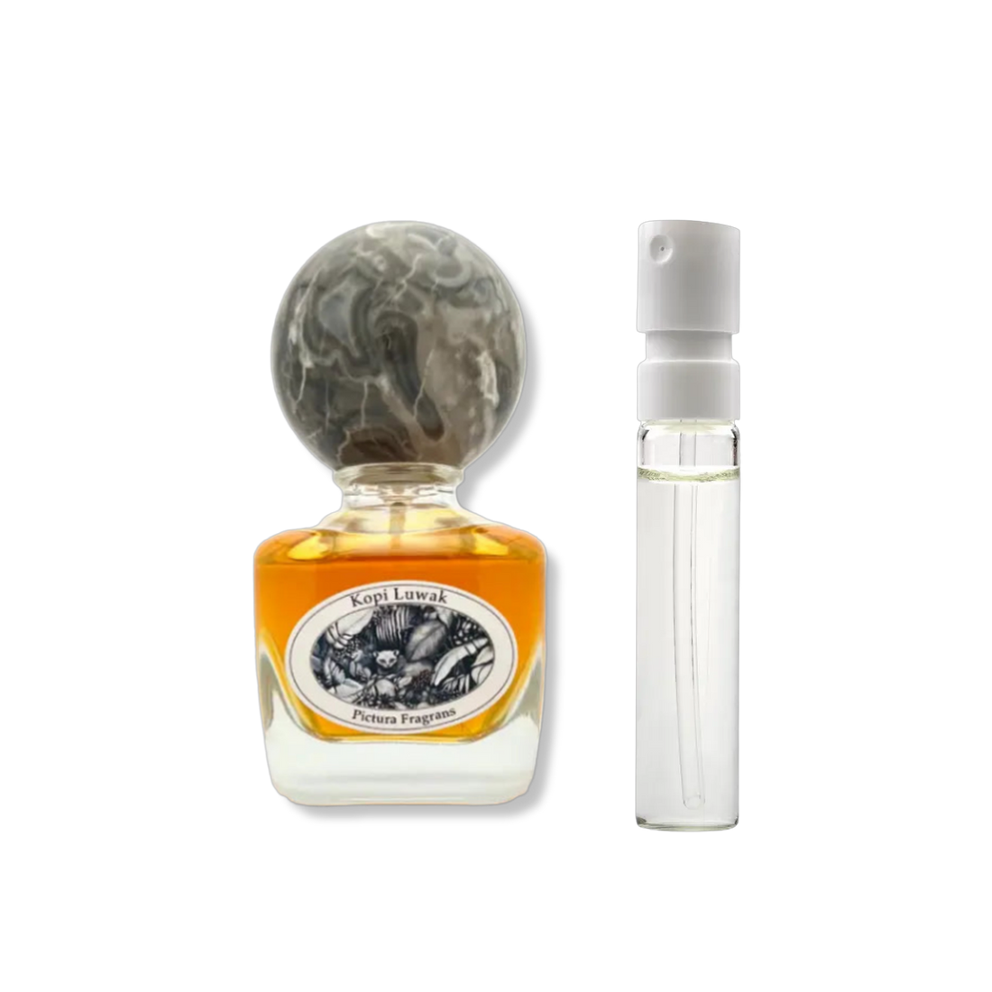 Pictura Fragrans - Kopi Luwak - muestra