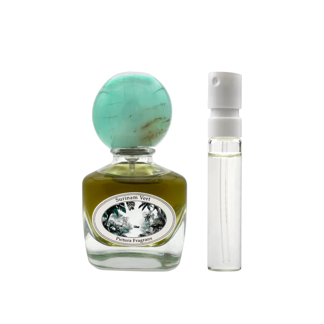 Pictura Fragrans - Surinam Vert