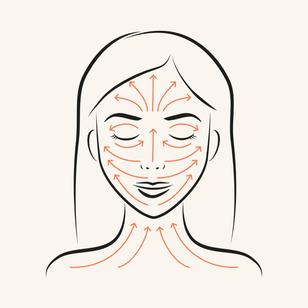 The Ionic Facial Dry Brush Ruhi